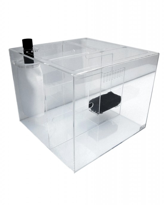 CRYSTAL CUBE SUMP 18 - TRIGGER SYSTEMS