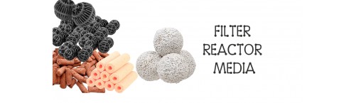 Biological Filtration Biological Filtration