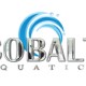 Cobalt Aquatics