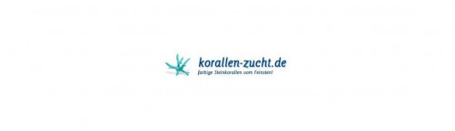 Korallen-Zucht Korallen-Zucht