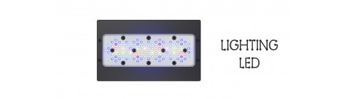 LED LED