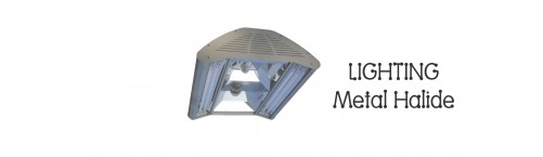 Metal Halide Metal Halide