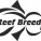 Reef Breeders LEDs