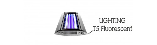 T5 Fluorescent T5 Fluorescent