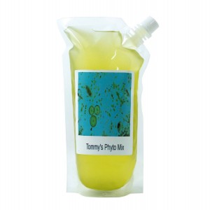 16OZ LIVE PHYTOPLANKTON - 2 PACK - TOMMYS PHYTO