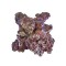 55 Pounds Real Reef Rock - Mixed Sizes - Real Reef Solutions 55 Pounds Real Reef Rock - Mixed Sizes - Real Reef Solutions