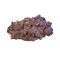 55 Pounds Real Reef Rock - Nano - Real Reef Solutions 55 Pounds Real Reef Rock - Nano - Real Reef Solutions