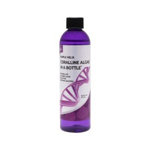 8OZ PURPLE HELIX CORALLINE ALGAE - ARC REEF 8OZ PURPLE HELIX CORALLINE ALGAE - ARC REEF