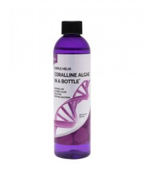 8OZ PURPLE HELIX CORALLINE ALGAE - ARC REEF