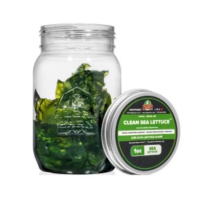 CLEAN SEA LETTUCE - LIVE ULVA LACTUCA ALGAE - ALGAEBARN