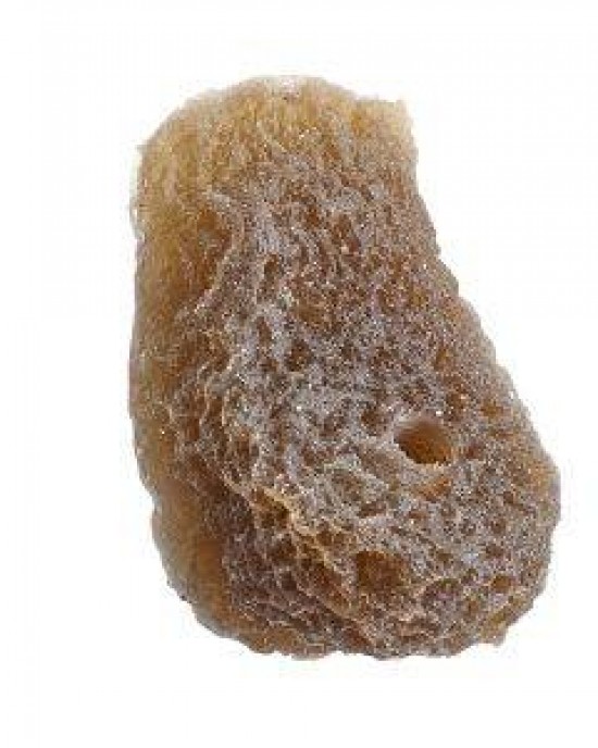 DARK BROWN ANGLED SHELF SINGLE MAGNETIC FRAG RACK - REEF RAX DARK BROWN ANGLED SHELF SINGLE MAGNETIC FRAG RACK - REEF RAX