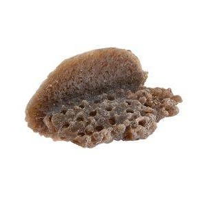 DARK BROWN LARGE SHELF MAGNETIC FRAG RACK - REEF RAX DARK BROWN LARGE SHELF MAGNETIC FRAG RACK - REEF RAX