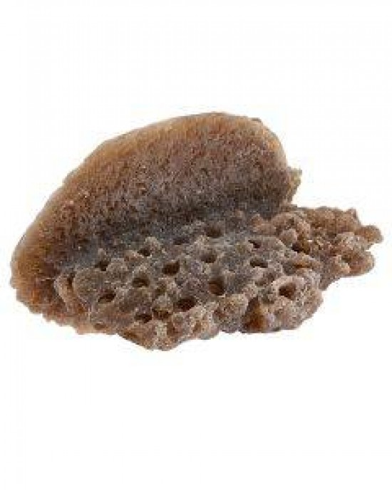 DARK BROWN LARGE SHELF MAGNETIC FRAG RACK - REEF RAX