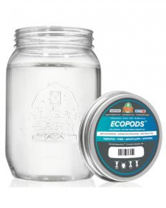 ECOPODS - COPEPOD VARIETY MIX - ALGAEBARN