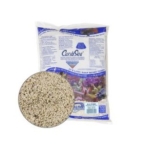 FIJI PINK ARAG-ALIVE! LIVE REEF SAND - CARIBSEA