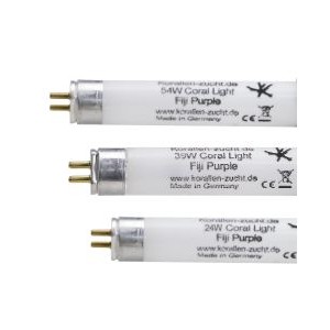 FIJI PURPLE HIGH OUTPUT T5 LAMP - KORALLEN-ZUCHT