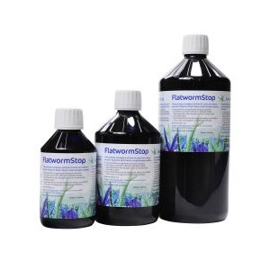 FLATWORM STOP - KORALLEN-ZUCHT