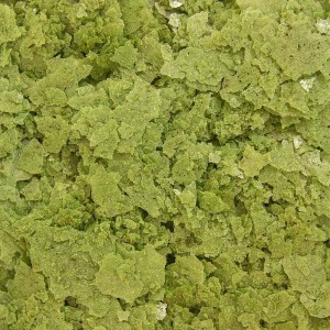 FORMULA TWO FISH FOOD FLAKES - OCEAN NUTRITION