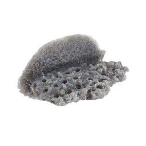 GREY LARGE SHELF MAGNETIC FRAG RACK - REEF RAX GREY LARGE SHELF MAGNETIC FRAG RACK - REEF RAX