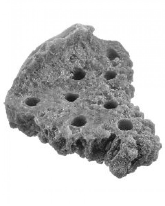 GREY NANO CORNER SHELF MAGNETIC FRAG RACK - REEF RAX GREY NANO CORNER SHELF MAGNETIC FRAG RACK - REEF RAX