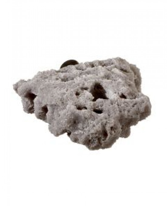 GREY NANO SHELF SINGLE MAGNETIC FRAG RACK - REEF RAX GREY NANO SHELF SINGLE MAGNETIC FRAG RACK - REEF RAX