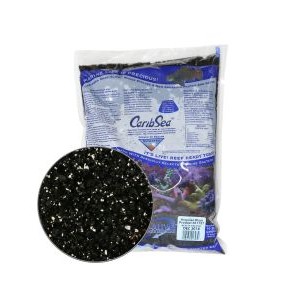 HAWAIIAN BLACK ARAG-ALIVE! LIVE REEF SAND - CARIBSEA