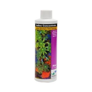 IODINE CONCENTRATE 250 ML - TWO LITTLE FISHIES