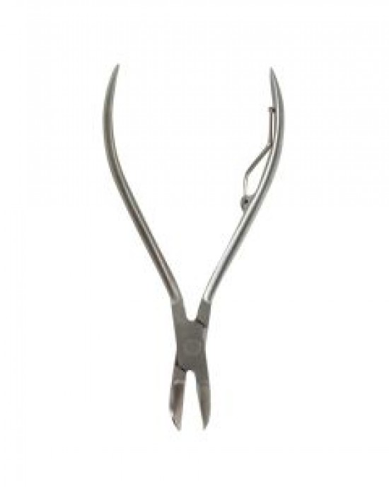 OCEANS WONDERS CORAL STONY BONE CUTTER OCEANS WONDERS CORAL STONY BONE CUTTER