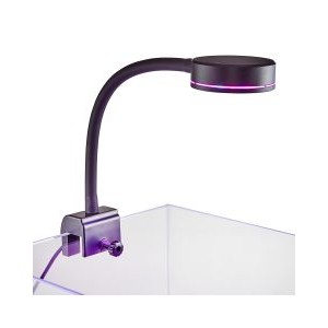 PICO REFUGIUM LED - REEFBREEDERS PICO REFUGIUM LED - REEFBREEDERS