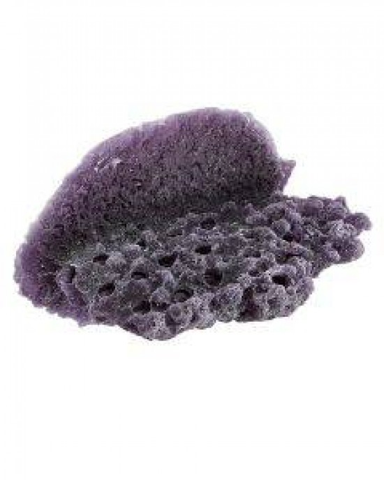 PURPLE LARGE SHELF MAGNETIC FRAG RACK - REEF RAX PURPLE LARGE SHELF MAGNETIC FRAG RACK - REEF RAX