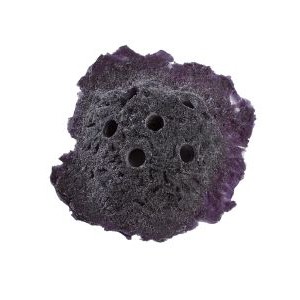 PURPLE SANDBED FRAG ROCK - REEF RAX