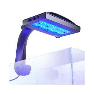 RANDY'S 2FT. SPS LIGHTING BUNDLE - BULK REEF SUPPLY