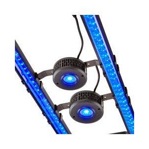 RANDY'S 4FT. SPS LIGHTING BUNDLE - BULK REEF SUPPLY