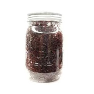 RED SPAGHETTI - LIVE GRACILARIA PACIFICA ALGAE - ALGAEBARN