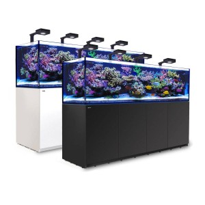 REEFER DELUXE 3XL 900 SYSTEM (240 GAL) - RedSea REEFER DELUXE 3XL 900 SYSTEM (240 GAL) - RedSea