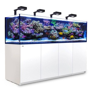 REEFER DELUXE 3XL 900 SYSTEM (240 GAL) - RedSea REEFER DELUXE 3XL 900 SYSTEM (240 GAL) - RedSea