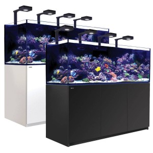 REEFER DELUXE XXL 750 SYSTEM (160 GAL) - RedSea