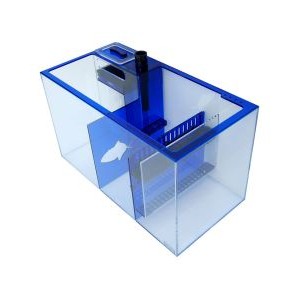 SAPPHIRE SUMP 26 - TRIGGER SYSTEMS