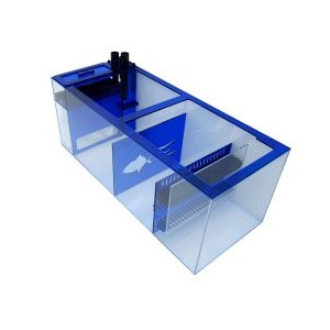 SAPPHIRE SUMP 39 - TRIGGER SYSTEMS