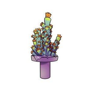 SPS MR. CHILI STICKER - BULK REEF SUPPLY