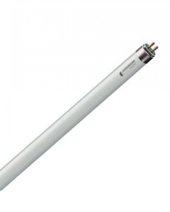 SUPER ACTINIC T5 - GIESEMANN SUPER ACTINIC T5 - GIESEMANN