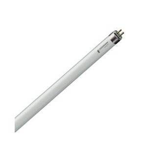 SUPER PURPLE T5 - GIESEMANN SUPER PURPLE T5 - GIESEMANN