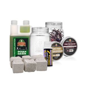 ULTIMATE POMPOM GRACILARIA REFUGIUM STARTER PACKAGE - ALGAEBARN