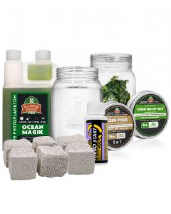 ULTIMATE SEA LETTUCE REFUGIUM STARTER PACKAGE - ALGAEBARN