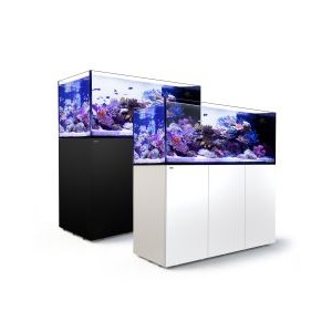 REEFER PENINSULA 650 SYSTEM (140 GAL) - RedSea