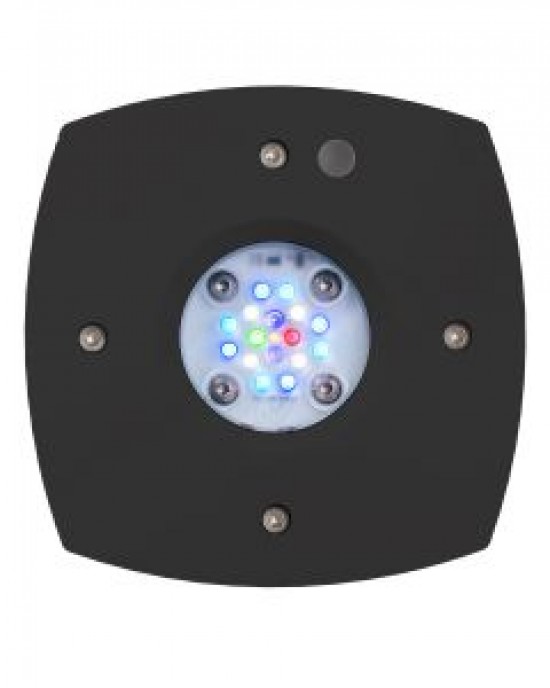 PRIME 16 HD LED REEF LIGHT - BLACK BODY - AQUA ILLUMINATION