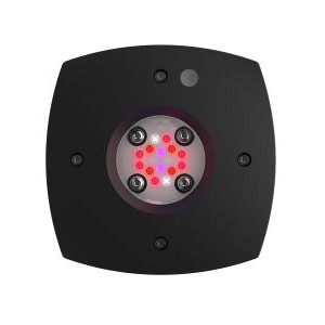 PRIME 16 LED FUGE LIGHT - BLACK BODY - AQUA ILLUMINATION