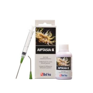 AIPTASIA-X - RedSea