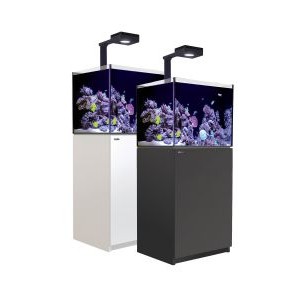 50 NUVO Fusion Lagoon PRO 2 AIO Aquarium Bundle - Innovative Marine