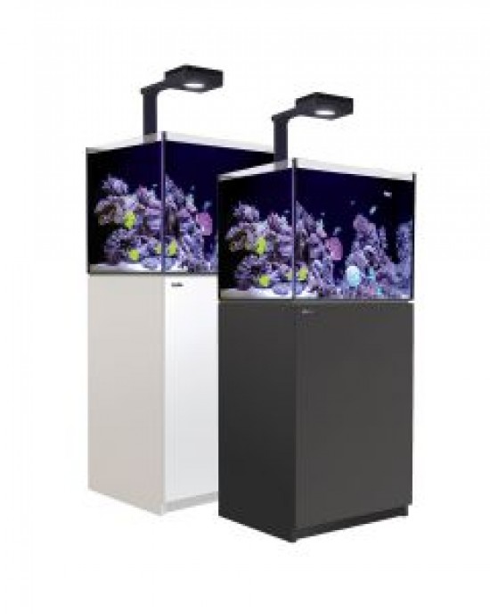 50 NUVO Fusion Lagoon PRO 2 AIO Aquarium Bundle - Innovative Marine